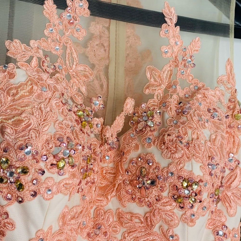 A speed Design  Salmon Pink Mesh Neckline Sleeveless Mermaid Gown - Picture 4 of 9